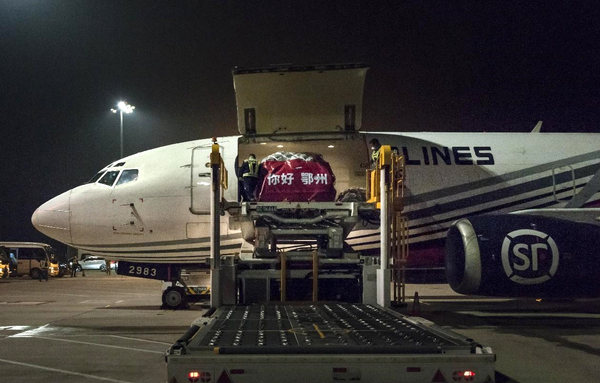 Ezhou Huahu Airport in central China's Hubei province, which is China's first professional cargo airport, starts operation on Nov. 27, 2022. Photo shows a fully loaded Boeing 737 cargo plane landing at the airport. (Photo by Hu Zhanjun/People's Daily Online)