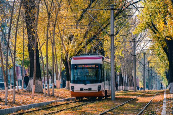 An electric bus runs on Chuncheng Avenue, known as one of the top ten artistic sites in Changchun, northeast China's Jilin province. (Photo by Wang Denghu/People's Daily Online)