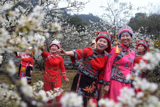 Visitors pose for pictures in traditional costumes of a Chinese ethnic group in an orchard in Luocheng Mulao autonomous county, south China's Guangxi Zhuang autonomous region, Feb. 4, 2023. (Photo by Liao Guangfu/People's Daily Online)