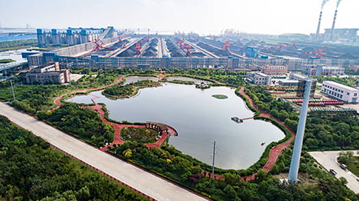 Photo shows a wetland near the coal terminal of the Port of Huanghua, Cangzhou, north China's Hebei province. (Photo from the website of Hebei Youth Daily)