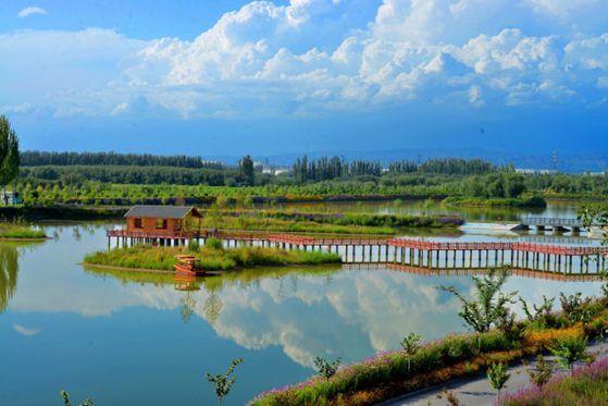 Photo shows the scenery in the Aksu National Wetland Park. (Photo from Aksu Daily)