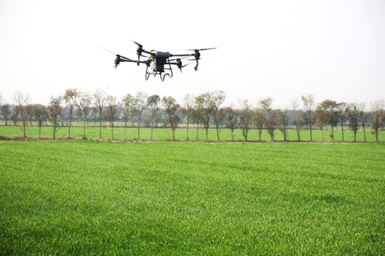 A drone sprays pesticide over a wheat field in a modern agricultural park in Xinbei district, Changzhou, east China's Jiangsu province, March 6, 2023. (Photo by Chen Wei/People's Daily Online)