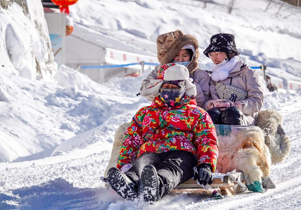 Tourists go sledding at Changbai Mountain scenic area in northeast China's Jilin province, Feb. 2, 2023. (Photo by Lv Haojun/People's Daily Online)