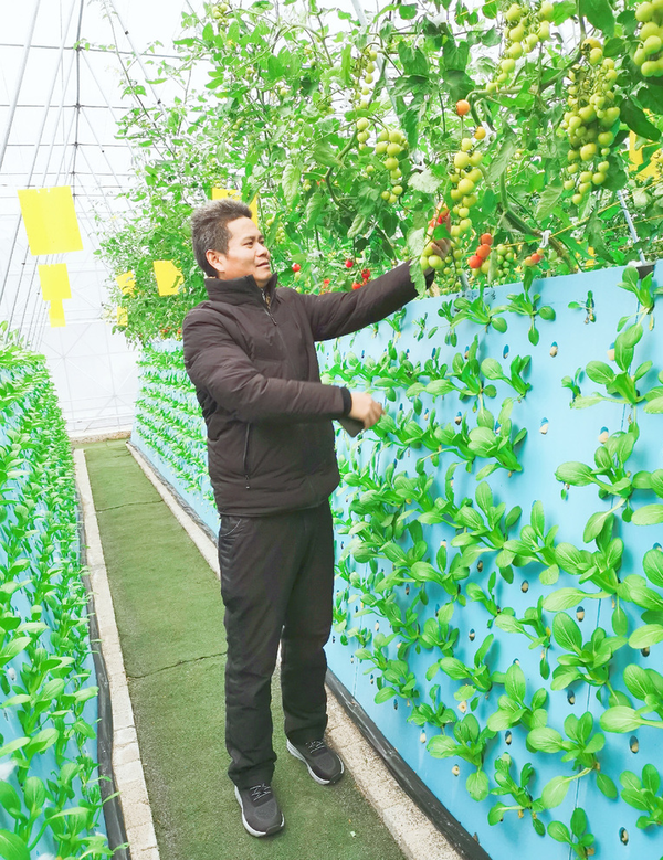 Xu Weizhong checks the growth of vegetables. (Photo provided by Xu Weizhong)