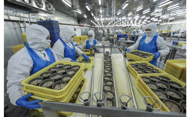 Tuna cans are being produced in a factory in Rongcheng, east China's Shandong province. (Photo by Li Xinjun/People's Daily Online)