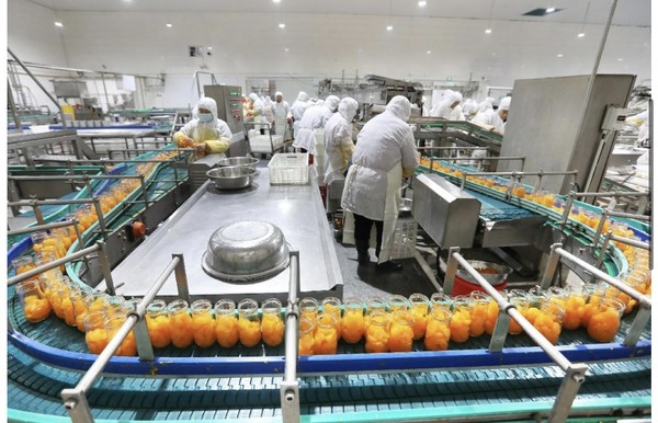 Canned oranges are being produced in a workshop in Huaibei, east China's Anhui province. (Photo by Wan Shanchao/People's Daily Online)