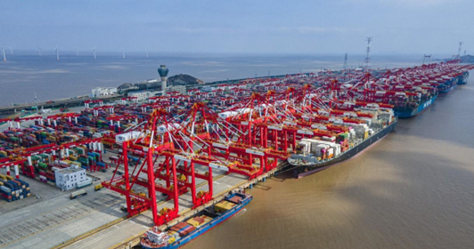 Photo shows an automated terminal of the Phase IV of Shanghai Yangshan Deep Water Port. (Photo by Wang Chu/People's Daily Online)