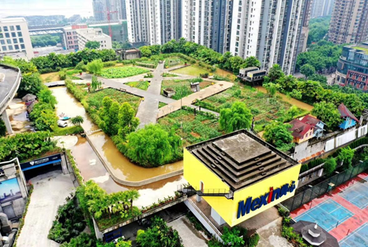 Photo shows a "farm" on the rooftop of a plant building of Mexin Messon, a manufacturer of windows and doors based in southwest China's Chongqing municipality. (Photo credit to Workers’ Daily)