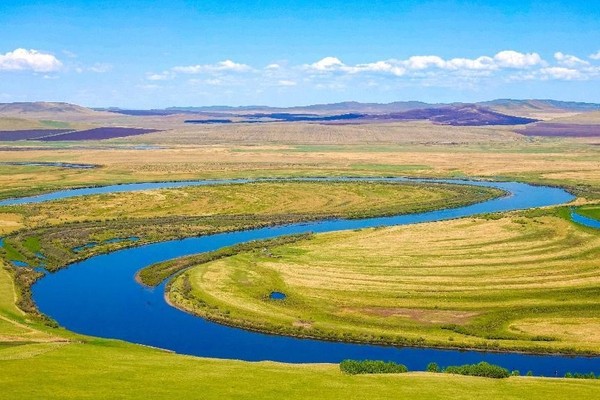 Photo taken on May 30, 2023 shows the beautiful Hulunbuir grassland in north China's Inner Mongolia autonomous region. (Photo by Lyu Haojun/People's Daily Online)