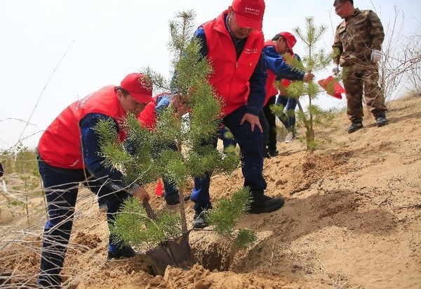 Volunteers plant trees in a national nature reserve near the Mu Us Desert in northwest China's Ningxia Hui autonomous region, April 12, 2023. (Photo by Yuan Hongyan/People's Daily Online)