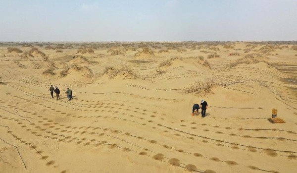 Drip irrigation facilities are installed on a desert in Yuli county, Bayingolin Mongolian autonomous prefecture in northwest China's Xinjiang Uygur autonomous region, May 8, 2023. (Photo by Wang Zhipeng/People's Daily Online)