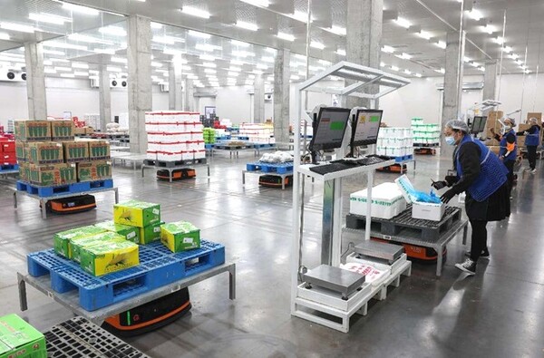 Robots are sorting fresh products at a logistics center in Xiangyang, central China's Hubei province. (Photo by Yang Dong/People's Daily Online)