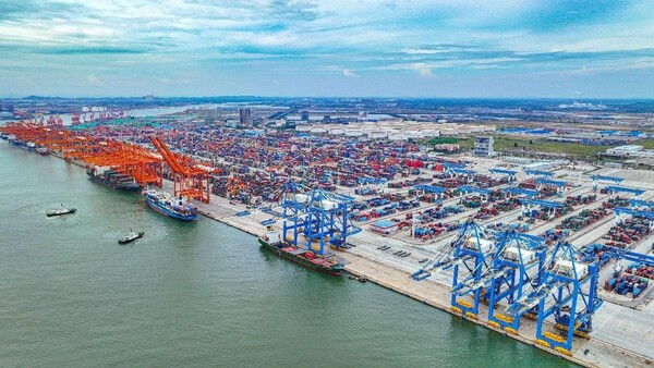 Photo shows an automated terminal of the port of Qinzhou, south China's Guangxi Zhuang autonomous region. (Photo by Feng Rongquan/People's Daily Online)