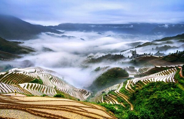 Photo shows terraced fields in Dazhai village, south China's Guangxi Zhuang autonomous region. (Photo from the official website of Longsheng county, Guangxi Zhuang autonomous region)