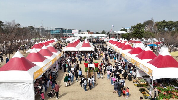 인산인해를 이룬 2023 논산 딸기 축제