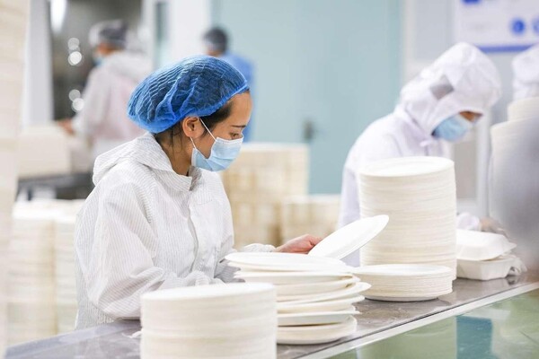 Degradable tableware is manufactured with bamboo pulp and sugarcane pulp in a workshop of an environmental protection tech firm in Yibin, southwest China's Sichuan province. (Photo by Wang Yu/People's Daily Online)