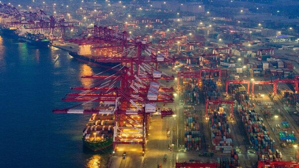 Photo taken on Feb. 12, 2024 shows a busy scene of a container terminal of Qingdao port in east China's Shandong province. (Photo by Han Jiajun/People's Daily Online)
