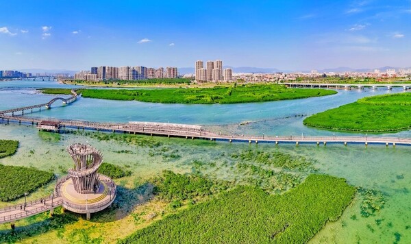 Photo taken in January 2024 shows the Xiatanwei mangrove park in Xiamen, southeast China's Fujian province. (Photo by Chen Bo/People's Daily Online)