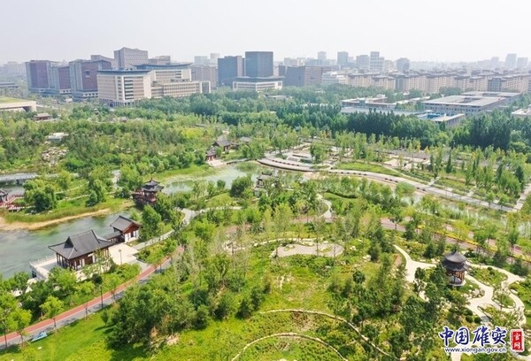A green scene of Xiong'an New Area that mirrors the new area's achievements in building a ecologically friendly and livable city. (Photo by Li Xin/xiongan.gov.cn)