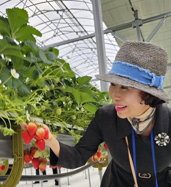 Vice Chairperson Joy Cho of The Korea Post media is all smiles picking some juicy strawberries.