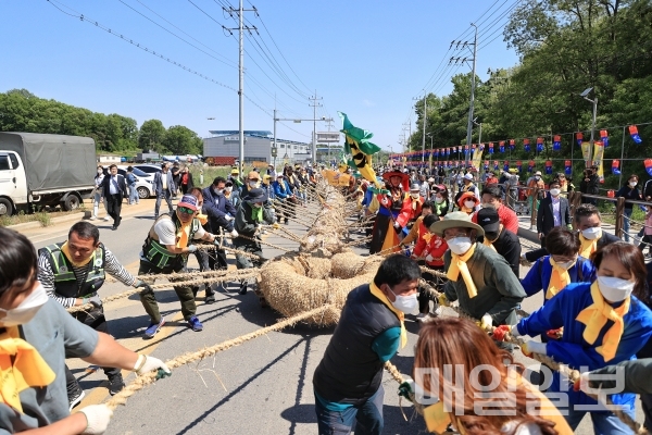 The big rope for the UNESCO Intangible Cultural Heritage of Humanity Gijisi Tug of War Festival 