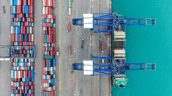 Photo taken on March 8, 2024 shows a busy scene of a container terminal in Haikou, south China's Hainan province. (Photo by Yang He/People's Daily Online)