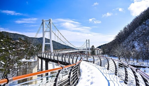Snow-covered Seorak Hyanggiro trail. (Source: Yonhap News)