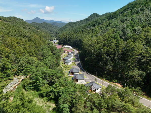 Panoramic view of the National Geumsan Forest Recreation Area in Geumsan County. (Source: Korea Forest Service)