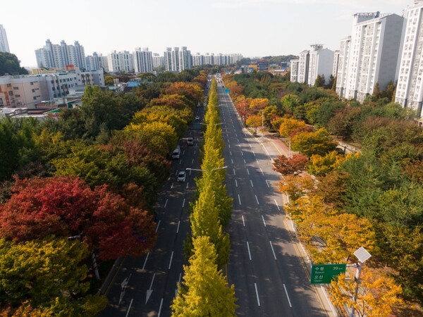 Pyeongtaek’s National Route 1 Green Tunnel (Source: Yonhap News)