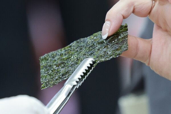 김 수출액 역대 최대 (출처: 연합뉴스)