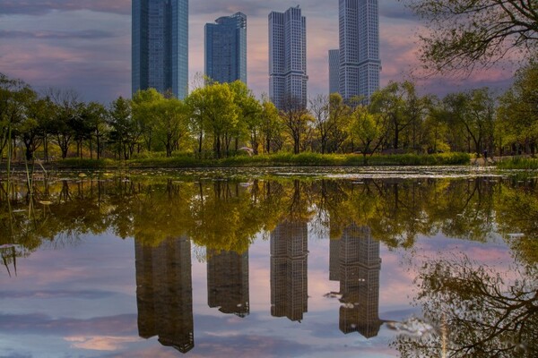 서울숲 전경. (출처: 서울시)