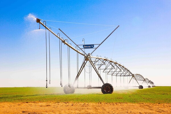 Photo shows an irrigation system of Zhongman Petroleum and Gas Group Corp., Ltd. (ZPEC) working in Egypt. (Photo/Hao Donglei)