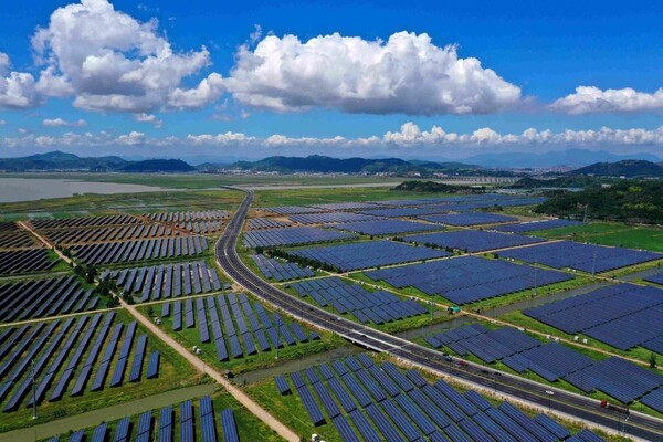 Photo shows a solar farm in Yuhuan, east China's Zhejiang province. (Photo/Duan Junli)