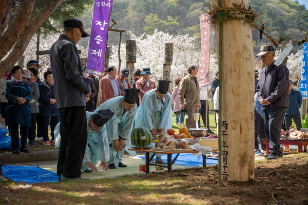 Cheongyang Jangseung Festival draws record crowds with immersive ...