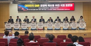 S. Korea looks to strengthen SMR industry as special law nears enforcement